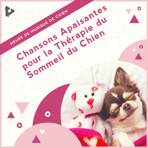 Musique de fond pour chiens