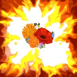 Mein Licht im Dunkeln