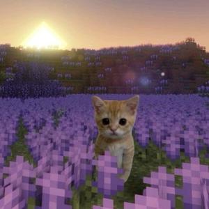 "Run Away" 吉他英雄