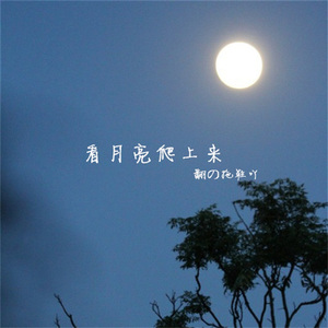 看月亮爬上来（翻自 张杰）