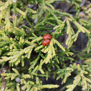 Путешествие