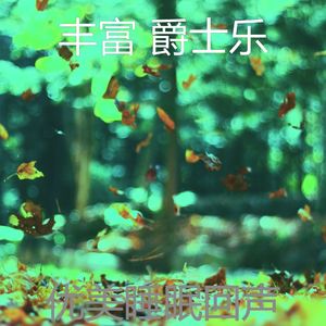 一尘不染休息中印象数