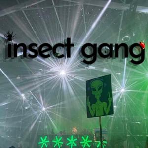 deadsoul (insect cup)