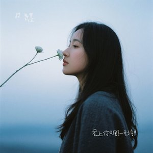 爱上你只用了一秒钟