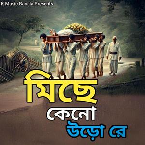 মিছে কেনো উড়ো রে