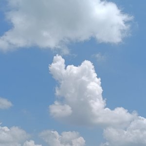 各有渡口，各自归舟