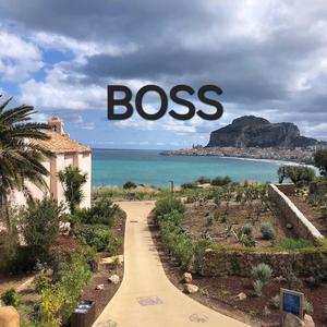 Boss (CLUB MED MIX)