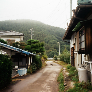 오아시스