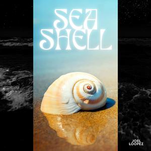 Seashell