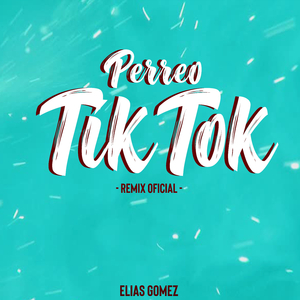 Perreo TikTok (Remix)