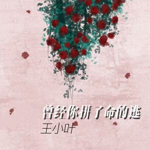 曾经你拼了命的逃