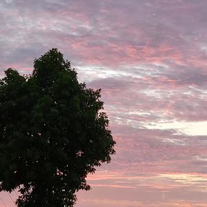 浪漫的是和你一起