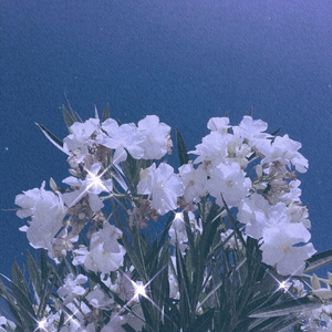 是年少 是她的笑（翻自 大籽）