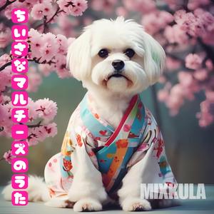 Washnack 一緒に踊ろう、パラダイスへ！