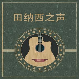 温暖爵士乡村踏板钢吉他