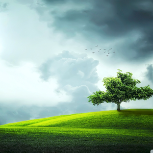 s̶̨̞̘̻̬̞̝͔͈̱͓̫ н ∊ ∌ あたし...