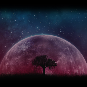 天火-整曲 伴奏