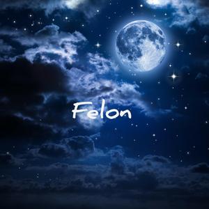 Felon
