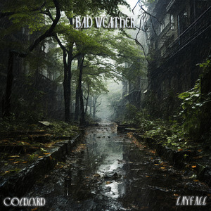 Bad Weather(坏天气)