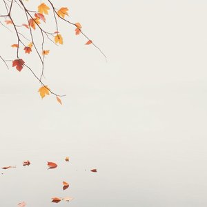 지우지 못한 밤