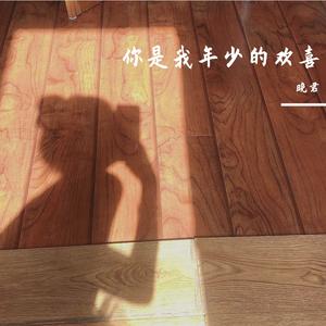 你是年少的欢喜