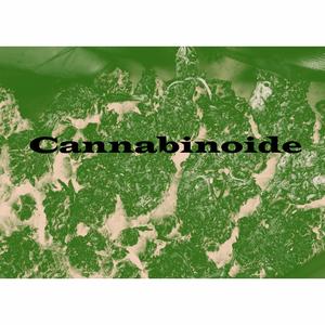 Cannabinoide