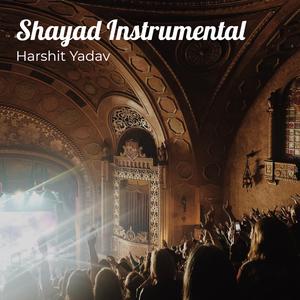 Shayad Instrumental