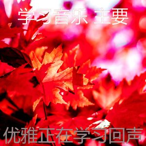 安静的在家里工作声音