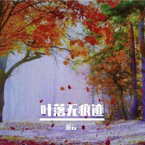 我的江汉大平原