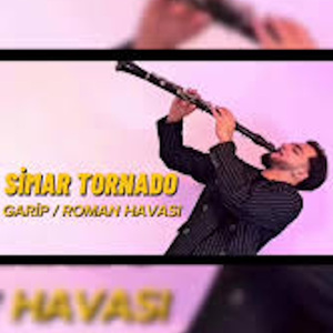 Garip (Roman Havasi)