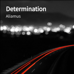 Determination
