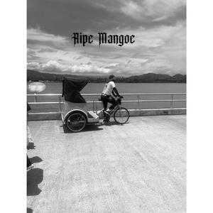 Ripe Mango