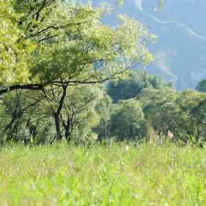 送给总晚睡的你