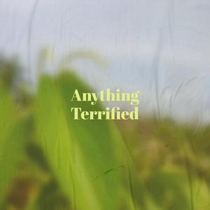 Reputation Immediately