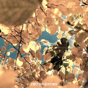 一尘不染早上放松印象数