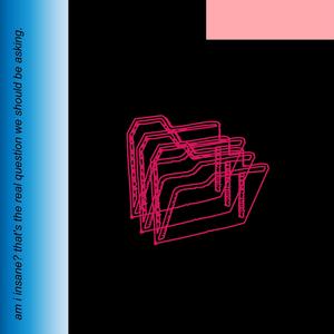 am i insane? that's the real question we should be asking.