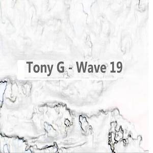 Wave19