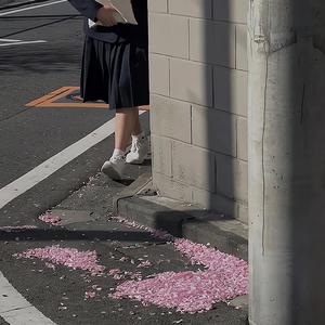 女孩你为何踮脚尖