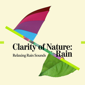 Tree Branch Raindrops