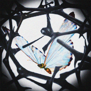 恋爱无用论（PROD.BY Chillen）