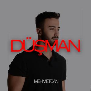 Düşman