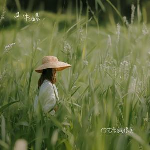 你说当你没来过 （热播版）