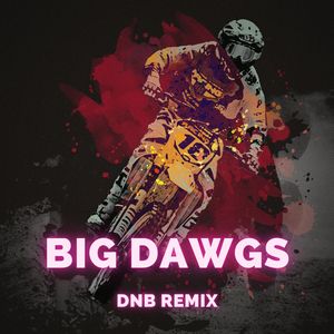 Big Dawgs (DnB Remix)