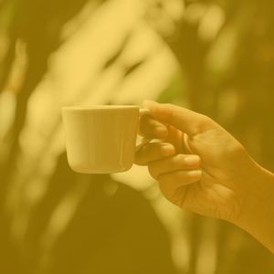 抚慰的早餐回忆