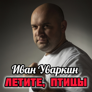 Летите, птицы