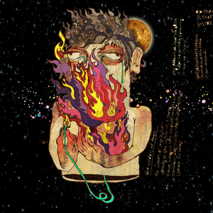 Shiitake (Chandelier)