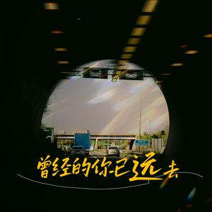 偏偏错过的年华