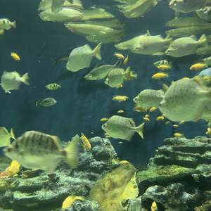 过剩（overwhelming emotions）