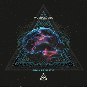 Brain Privilege (Original Mix)