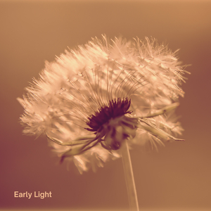 Early Light